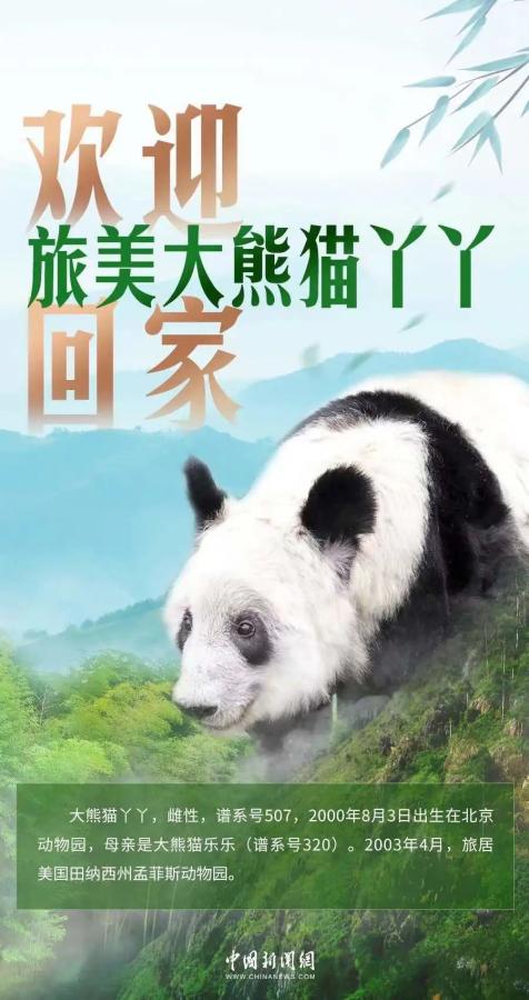 yrNZJk22hMiF3F23.jpg