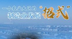 高质量发展·蹲点日志|一个农业大区的制造业发展“招式” ...