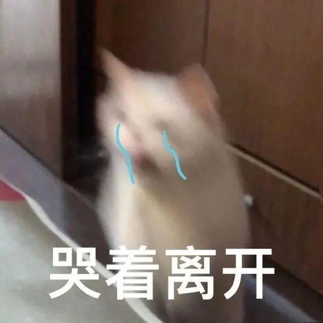 aNNNNdnFcFdXkDCD.jpg