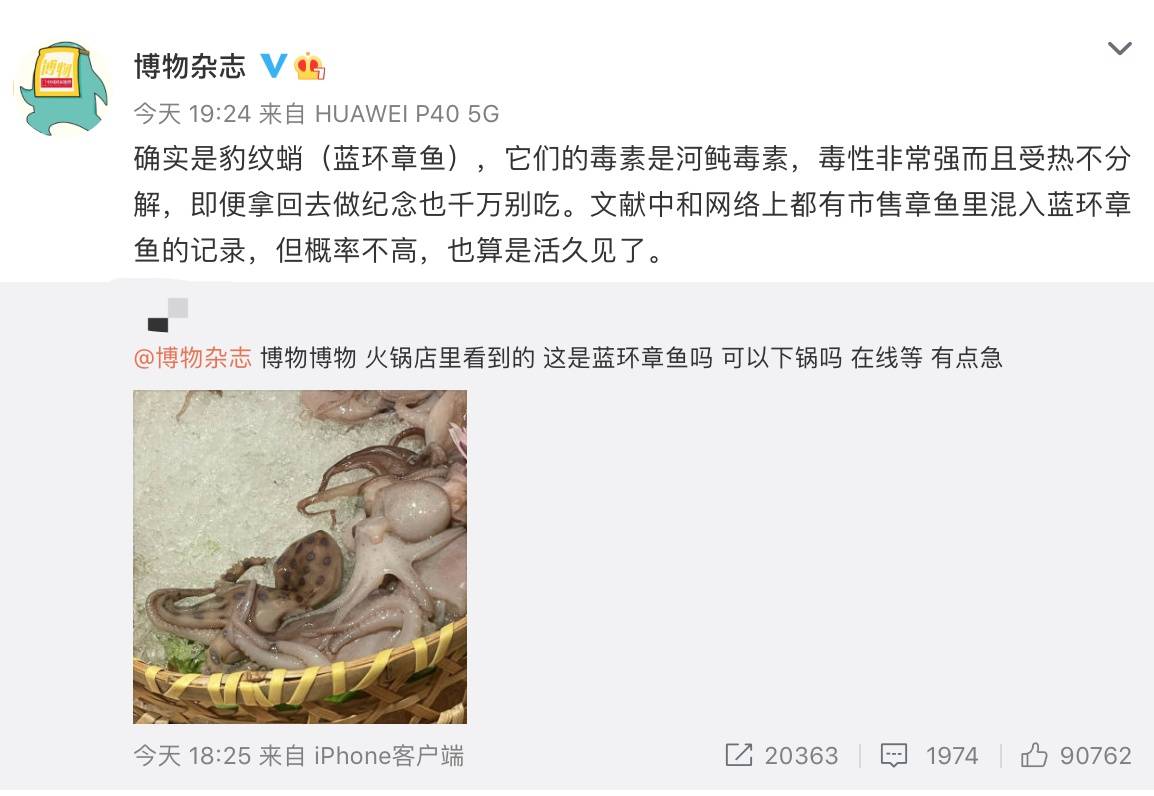 U6Z54BAb36426pLA.jpg
