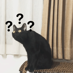 cUxwuJX08bWWkJWd.jpg