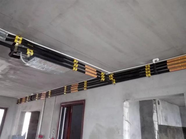 Tm9U19JPp6MmeZdP.jpg